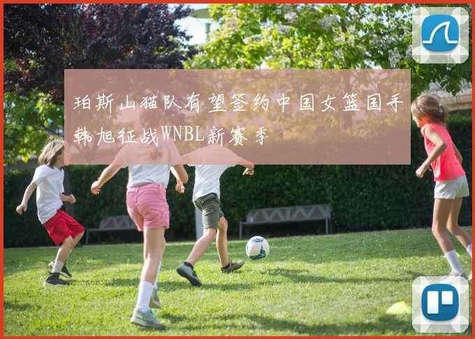 珀斯山猫队有望签约中国女篮国手韩旭征战WNBL新赛季