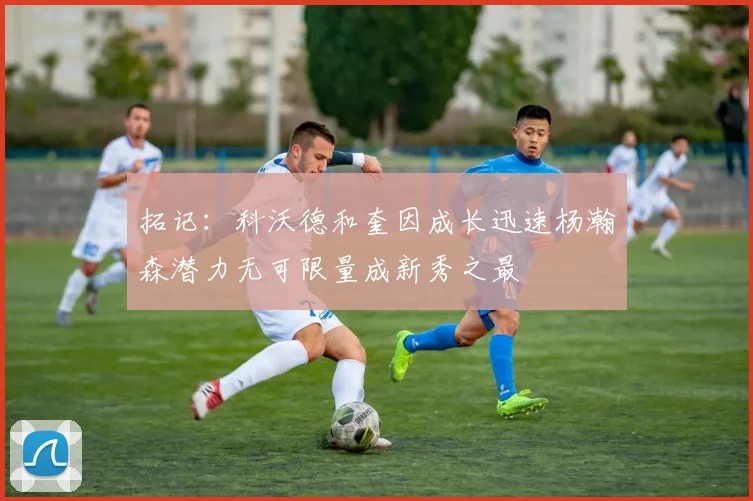 拓记：科沃德和奎因成长迅速杨瀚森潜力无可限量成新秀之最