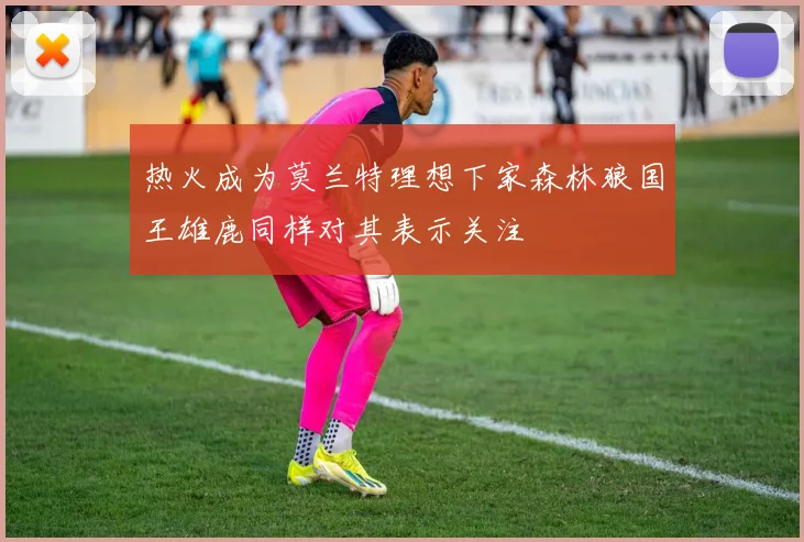 热火成为莫兰特理想下家森林狼国王雄鹿同样对其表示关注