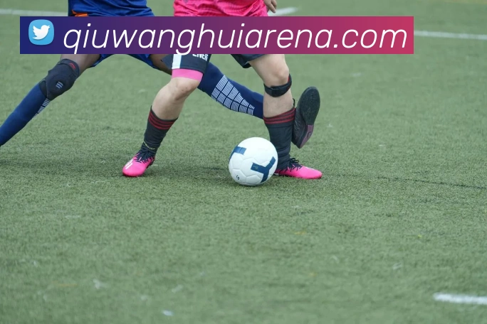 球王会平台生态图